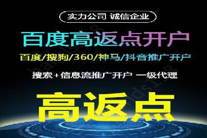 某大型企业选择SEM竞价代运营公司的决策过程与效果评估